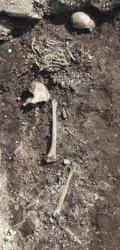 Das Skelett der „ältesten Frau“ von Zeeland im Grab von Serooskerke-Oranjezonsprink, um 270 v. Chr.