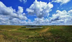 Inlaag op Noord-Beveland (www.beeldbank.zeeland.nl, foto Ben Biondina).